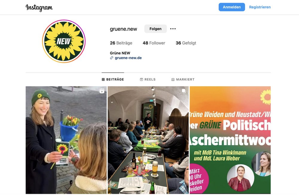 Instagramseite GRÜNE NEW
