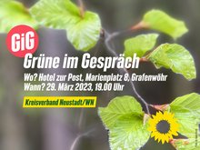 Sharepic_grüne-im-gespräch